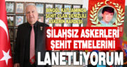 Şehit kardeşi Öztürk; “Silahsız askerleri şehit edenleri lanetliyorum”