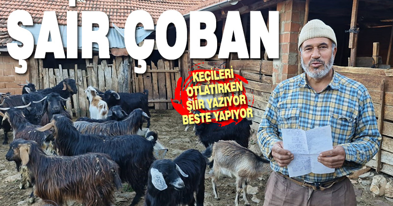 Denizli’nin şair çobanı keçilerini otlatırken şiir yazıp, türkü besteliyor