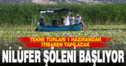 Işıklı Gölünde nilüfer şöleni başlıyor