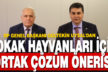 DP Genel Başkan Uysal’dan sokak hayvanları için ortak çözüm önerisi