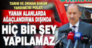 Bakan Yardımcısı Polat: Yanan alanlarla ilgili spekülasyonlar devam ediyor