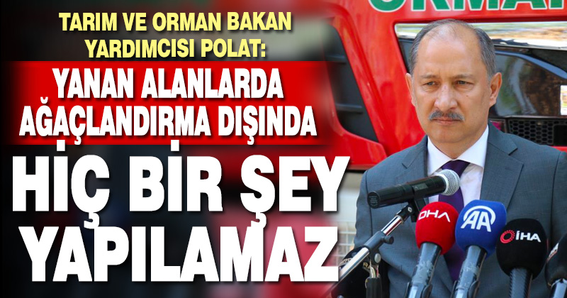 Bakan Yardımcısı Polat: Yanan alanlarla ilgili spekülasyonlar devam ediyor