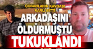 Arazide hayvan otlatan arkadaşını öldüren çoban tutuklandı