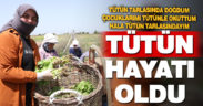 Tütün tarlasında doğan kadının hayatı “tütün” oldu