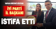 İyi Parti il başkanı Özden istifa etti