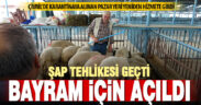 Şap hastalığı nedeniyle kapatılan hayvan pazarı Kurban Bayramı için tekrar açılıyor