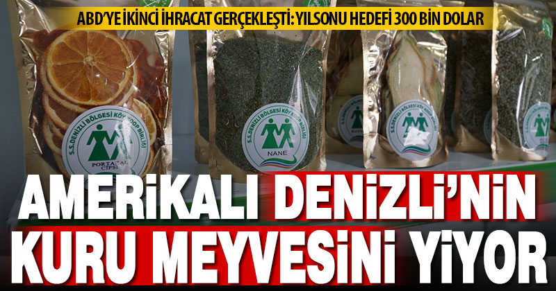 Kuru meyvede ABD’ye ikinci ihracat gerçekleşti