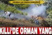 Bekilli’deki orman yangınında 200 dekar çam ormanı zarar gördü