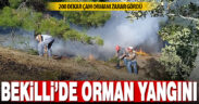 Bekilli’deki orman yangınında 200 dekar çam ormanı zarar gördü