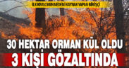 Yaklaşık 30 hektar alanın zarar gördüğü 2 ayrı yangınla ilgili olarak 3 şüpheli gözaltına alındı