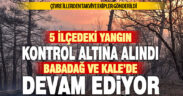 Denizli’nin 5 ilçesinde yangınlar kontrol altına alındı, 2 ilçede çalışmalar sürüyor