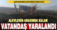 Alevlerin sardığı kümesteki hayvanları kurtarmak isterken yaralandı