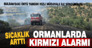 Denizli’de ağaçlık alanda örtü yangını çıktı