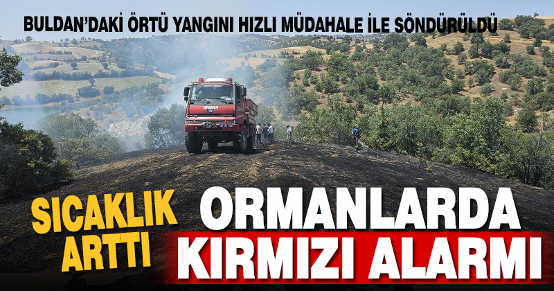 Denizli’de ağaçlık alanda örtü yangını çıktı