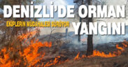 Denizli’de orman yangını