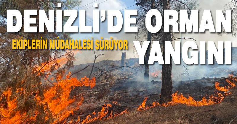 Denizli’de orman yangını