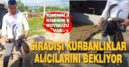 Sıra dışı koçlar alıcılarını bekliyor