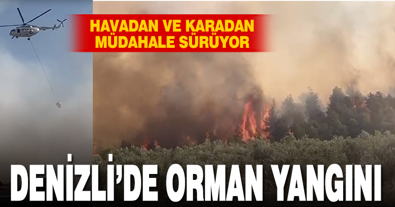 Denizli Pamukkale’de orman yangını çıktı