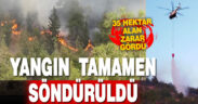 Pamukkale’deki orman yangınında 35 hektar alan zarar gördü