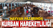 Denizli’de kurban pazarı hareketlendi