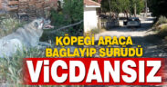 Denizli’de köpeğe işkence: Araca bağlayıp sürüdü