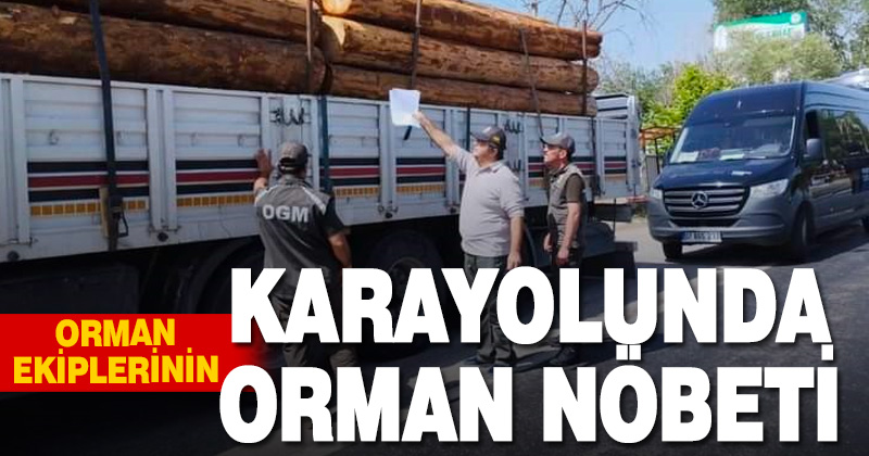 Yeşil Vatanı korumak için yollarda nöbet tutuluyor