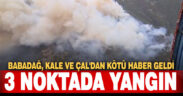 Denizli’de üç noktada orman yangını çıktı