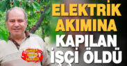 Yüksek voltaja kapılan işçi hayatını kaybetti