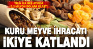 Denizli kuru meyve ve mamulleri sektöründe büyümeye devam ediyor