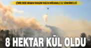 Çivril’deki yangında 8 hektar ormanlık alan zarar gördü