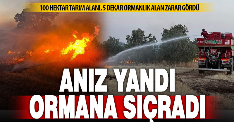 Bekilli’deki arazi ve orman yangını söndürüldü