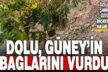 Güney’in üzüm bağları dolu nedeniyle büyük zarar gördü