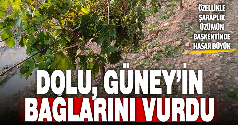 Güney’in üzüm bağları dolu nedeniyle büyük zarar gördü
