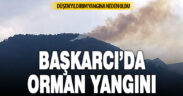 Başkarcı Dağında yıldırımın neden olduğu orman yangını hızlı müdahale ile söndürüldü