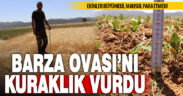 Barza Ovası’nı kuraklık vurdu