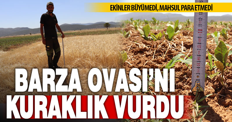 Barza Ovası’nı kuraklık vurdu