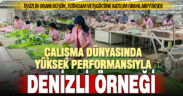 Denizli, istihdam, işsizlik ve iş gücüne katılımda Türkiye ortalamasının üzerinde performans gösteriyor