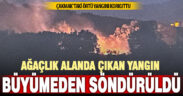 Ağaçlık alanda çıkan yangın büyümeden söndürüldü
