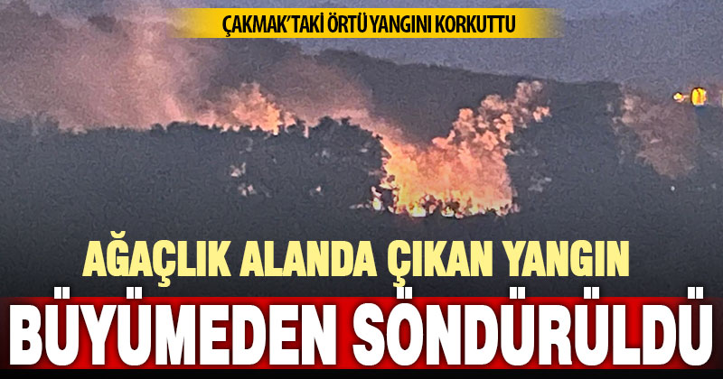 Ağaçlık alanda çıkan yangın büyümeden söndürüldü