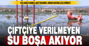 Bakımsız kalan kanallar merayı bataklığa çevirdi