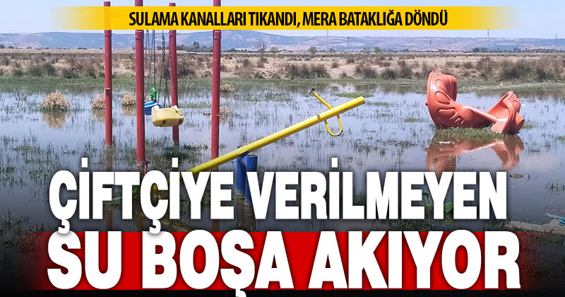 Bakımsız kalan kanallar merayı bataklığa çevirdi