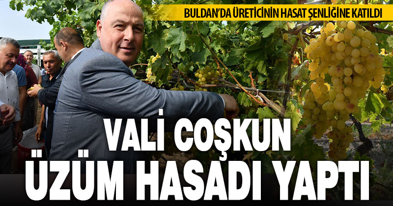 Vali Coşkun bağdan üzüm hasadı yaptı