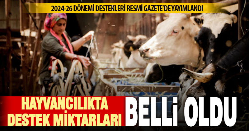 Hayvancılıkta 2024-2026 dönemi destekleme tutarları belli oldu