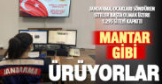 Jandarma, ocakları söndüren yasadışı siteleri kapattı