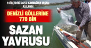 Denizli’deki göl ve göletlere 770 bin sazan yavrusu bırakıldı