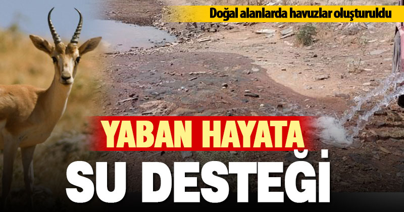 Yaban hayvanları için göletlere su takviyesi yapıldı