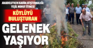 Serinhisar Ayazlılar, yeşil nohut ütmesi geleneğini yaşatıyor