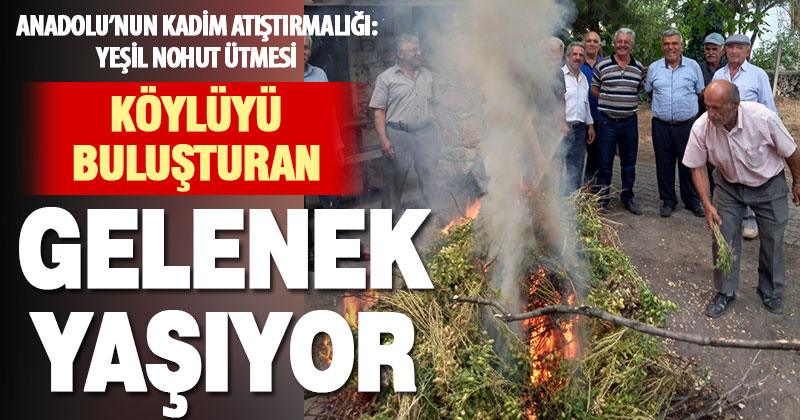 Serinhisar Ayazlılar, yeşil nohut ütmesi geleneğini yaşatıyor