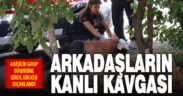 Arkadaşlar, misafirlikte birbirine girdi: 1 kişi bıçaklandı