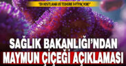 Sağlık Bakanlığı: “Türkiye’de henüz herhangi bir kısıtlama veya ek tedbir ihtiyacı bulunmamaktadır”